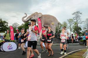 BIB: 
                            <button type="button" onclick="openModal(26528340)" class="btn btn-primary btn-sm float-right btn-popup" data-toggle="modal" data-target=".modal-high-quality">
                        <i class="fas fa-shopping-cart"></i> Add to Cart
                    </button>
                                            <button type="button" onclick="isThisMe(26528340, true)" class="btn btn-success btn-sm float-right btn-popup btn-isme hidden" data-toggle="tooltip" data-placement="bottom" title="นี่คือรูปของคุณใช่ไหม คลิกที่นี่เพื่อเอาเข้าอัลบั้ม">
                        <i class="fas fa-plus"></i> Add to album
                    </button>
                    <button type="button" onclick="isThisMe(26528340, false)" class="btn btn-warning btn-sm float-right btn-popup btn-isnotme hidden">
                        <i class="fas fa-ban"></i> Remove from album
                    </button>